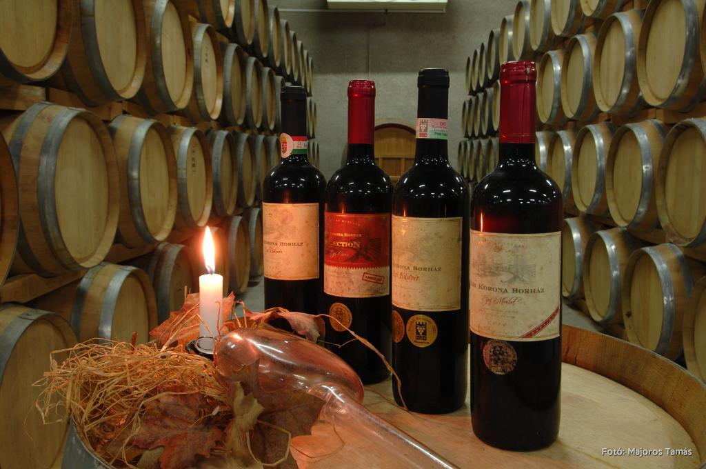 Grape&Wine Guesthouse Eger Zewnętrze zdjęcie